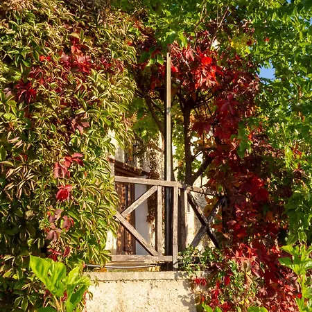 Lejlighed Beautiful House With Garden And Amazing View