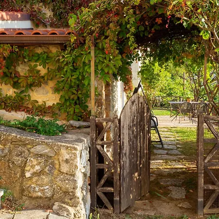 Beautiful House With Garden And Amazing View